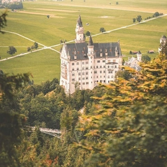 Harp of the Northern Star