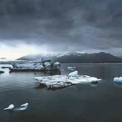 Bells in the Hollow Distance