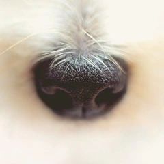 Swinging Through Neon City