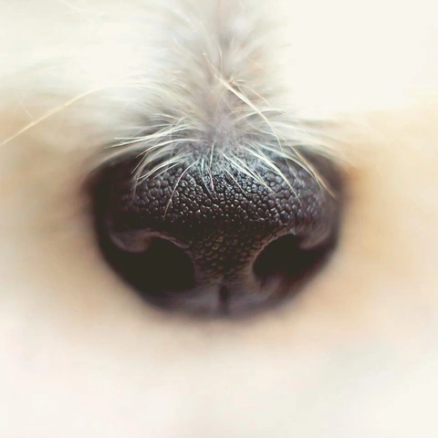 Cover art for Swinging Through Neon City