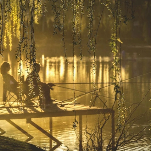 Pochette pour Whispers in the Blue