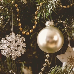 First Light of Christmas