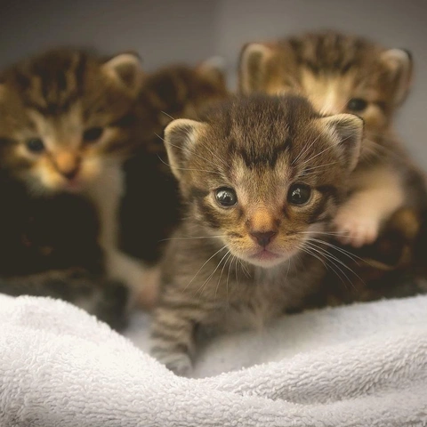 The Beat of Our Own Drumのジャケット画像