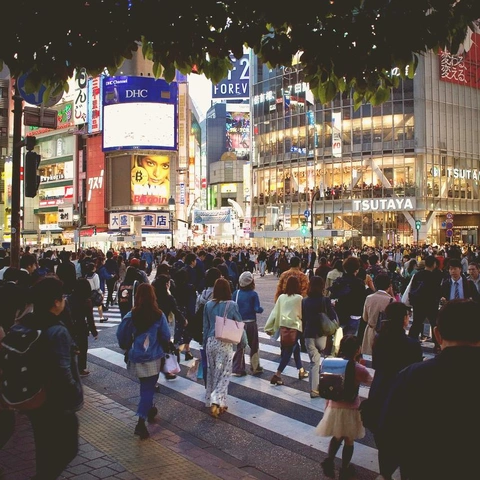 Pochette pour Fracture Strike