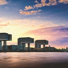 Bright Little Dreams