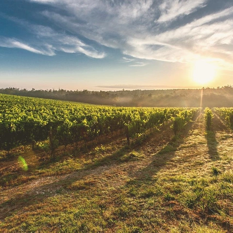 Arte da capa para Clockwork Intro