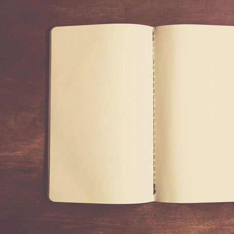 Arte da capa para Santa Plea