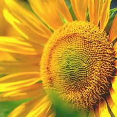 Electric Heartbeat Rising