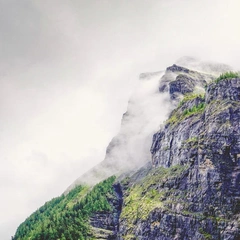 A River in the Moonlight