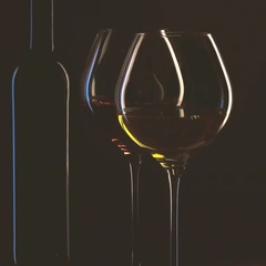 Chill Vibes and City Lights