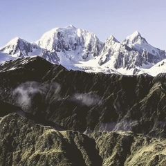 Whispering the Wild Home