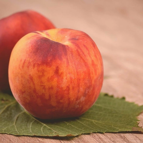 Pochette pour Fresh Blue