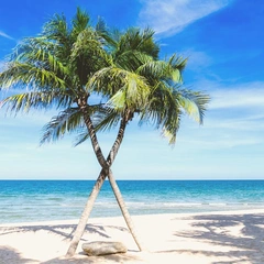 Sunday Morning Reverie