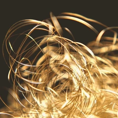 Digital Dreams in Motion