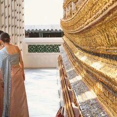 Whispers of the Forest