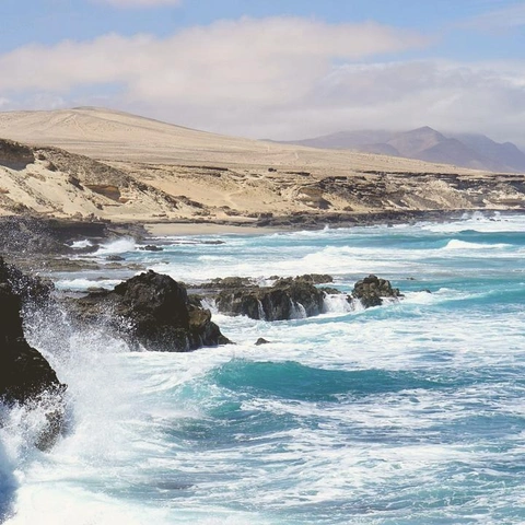 The Host of Seraphimのジャケット画像