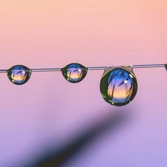 Rainlight Reflections