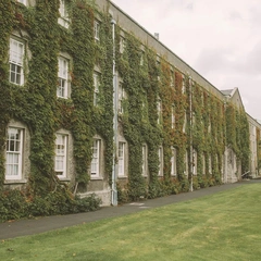 Cover art for A Moment of Solitude