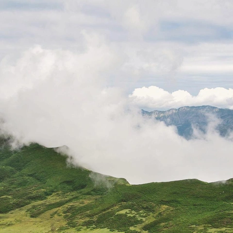 Pochette pour Wistful Glow