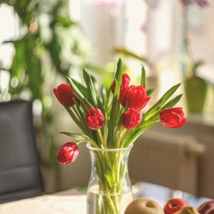 Bright City Heartbeat