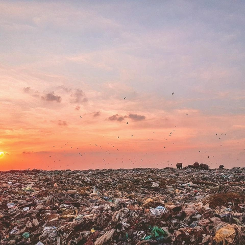 Pochette pour Apex Pursuit