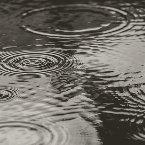 Pochette pour Wistful Hours