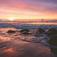 Letters in Slow Motion