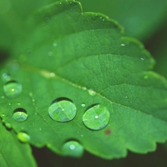 Piano for a Gentle Dawn