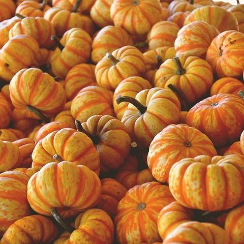 Pochette pour Winding Paths and Open Roads