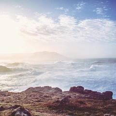 Engines of the Coming Storm