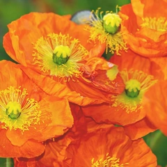 On Top Of The Future