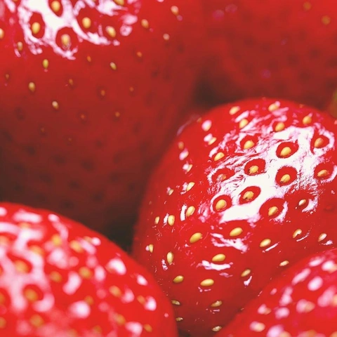 Arte da capa para Urban Afternoon Reverie