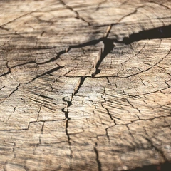 Conversations After Last Call