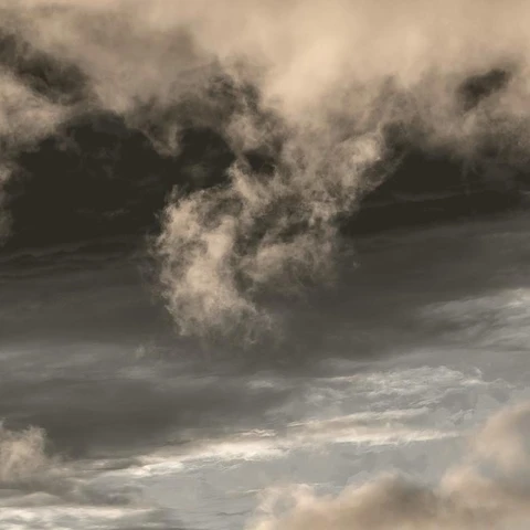 Portada para The Young General