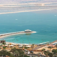 Cover art for Dancing in the Stars