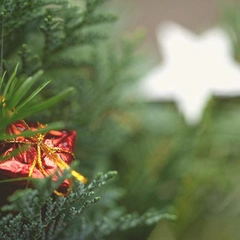 Snowlit Christmas Lullaby