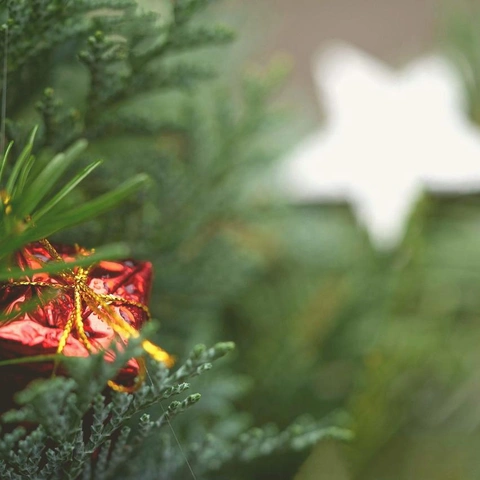 Snowlit Christmas Lullabyのジャケット画像