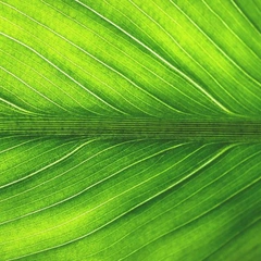 City Lights in Slow Time