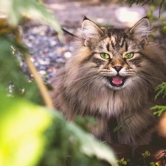 A Cozy Winter Celebration