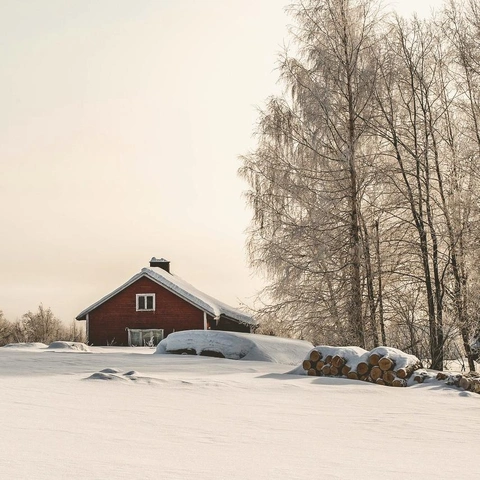 Portada para French Cafe
