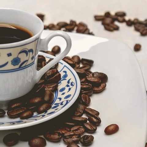 Arte da capa para Sea Breeze Bossa