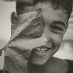 Whistling Past The Window