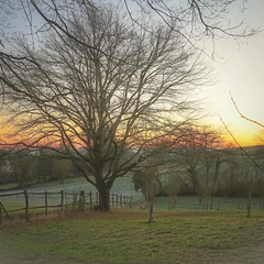 Steps in an Empty House