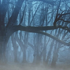 Nocturne for a Locked Door