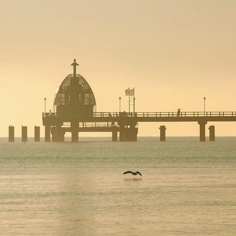 Portada para Unspoken Letters