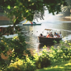 Electric Sleigh Ride