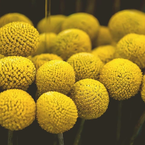 Cover art for The Rhythm of Now