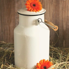 Chase Down Main Street