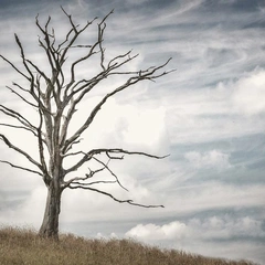 Piano for an Unsent Letter