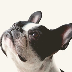 Get Down to Business